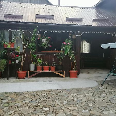Villa Casa Teodora Mînăstirea Humorului Exterior foto