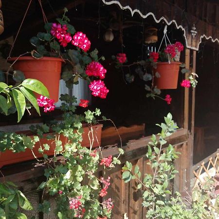 Villa Casa Teodora Mînăstirea Humorului Exterior foto
