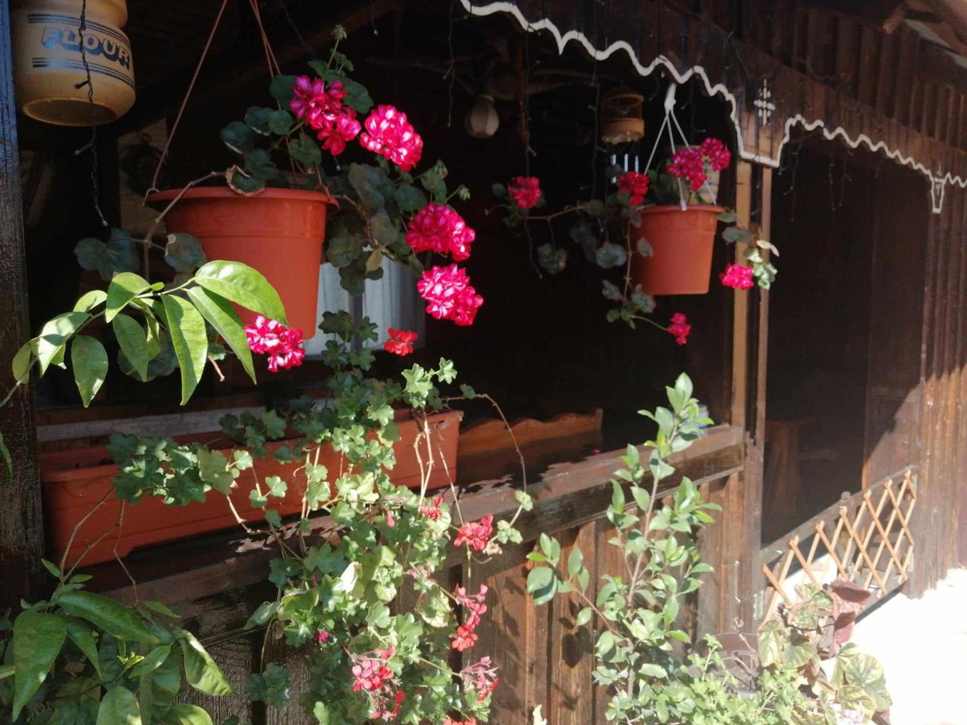 Villa Casa Teodora Mînăstirea Humorului Exterior foto